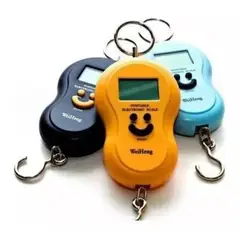 GENERICO - Pesa Digital De Mano Maleta Equipaje Bolsa Balanza Portatil