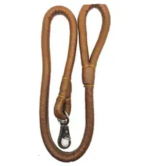 GENERICO - Correa Paseo Para Perro Mascota 113cm