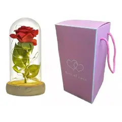 LISM - Rosa Eterna Rosas Eternas Rosa Preservada Led San Valentin 318001