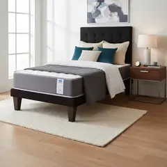 FLOBAL - CAMA 1 PLAZA ABOTONADA 90X190 CM + RESPALDO NEGRO + COLCHON