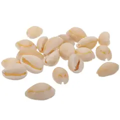 GENERICO - Bolsa De 40 Unidades Conchitas Cauri / Pure blanco
