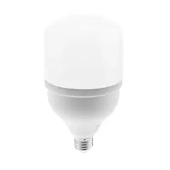 WANT - Pack 5 Ampolletas Led T100 30w E27 Empavonadas Envio Gratis