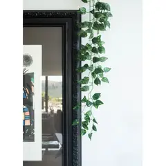 PLANT ME - PACK Plantas Artificiales Eco-sintéticas Decorativas Hiedras Colgantes