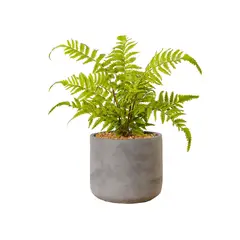 PLANT ME - Planta Artificial Eco-sintética Decorativa Helecho En Macetero