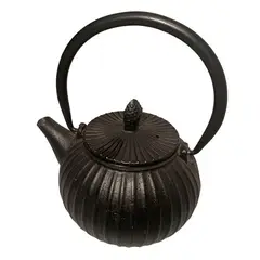 BRIC - Tetera Negra Fierro con infusor.