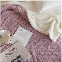 GENERICO - FRAZADA TEXTURIZADA CON CHIPORRO DELGADO UNICOLOR LILA 2 PLAZAS GS.