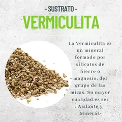 1880 - SUSTRATO VERMICULITA MEDIANA 20 LTS