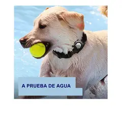 GENERICO - Funda impermeable para AIRTAG para perro o gato NEGRO