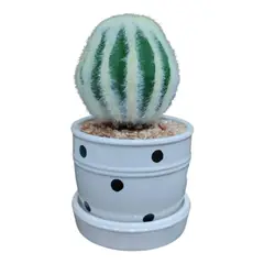 GENERICO - Adorno cactus artificial en macetero