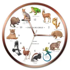ANDES1 - Reloj Fauna Chilena