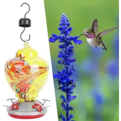 GENERICO - Bebedero y Comedero De Colibrí