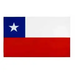 OEM - Bandera De Chile 120 X 180 Cm Tela Banderín