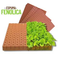 1880 - Espuma Fenólica Hidropónica20x20x20 Sustrato Hidropónico