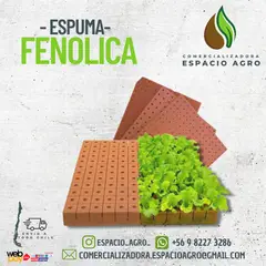 1880 - 5 PLACAS Espuma Fenólica Hidropónica20x20x20 Sustrato Hidropónico