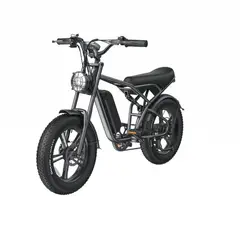 SHENGTE - E-Bike 1500W DYZ01 Black 20X4