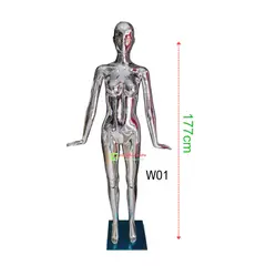 GENERICO - Maniqui Cuerpo Entero Dama Plastico Metalizado Plateado W01