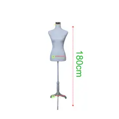GENERICO - Torso Maniqui Dama Con Pedestal Para Sastre Costura Modista