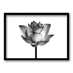 RETELA - Cuadro Flor de Loto II - Negro