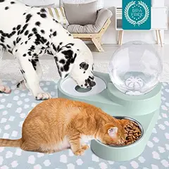 GENERICO - Bebedero Fuente de Agua y comida para Mascotas - Verde