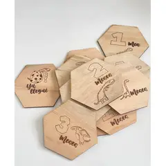 GENERICO - Placas de fotos dinosaurios