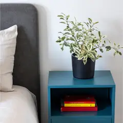 KABECEROS - RESPALDO CURVO - 1 PLAZA - VELVET COLOR GRIS