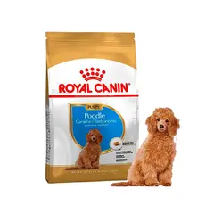 ROYAL CANIN - Alimento Para Poodle Puppy 3 Kg
