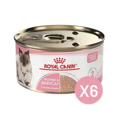 ROYAL CANIN - Mother And Babycat Lata 145gr - Pack 6 Latas