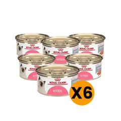 ROYAL CANIN - Kitten Instinctive Lata 145gr - Pack 6 Latas