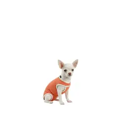 KIMBAVET - BodyCobre® Kimba Tradicional - Talla 00 (0 - 1,5 Kg)