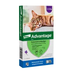 ELANCO - Anti-parasitario Gatos Advantage 4 a 8kg (0.8ml)