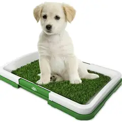 GENERICO - Baño Ecológico Perro Baño Mascotas Baño Ecológico