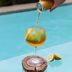 DECO EXPRESS - Set 6 Copas Gin/agua Ulm transparente