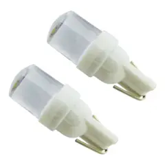 DEZZER - 2x Luz LED 3030 12 Volt Cola De Pescado 2 LED Luz Blanca