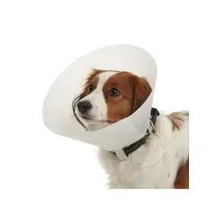 GENERICO - Collar Isabelino Para Mascotas Buster Classic 20 Cm