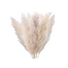 SANTU HOME & DECO - Pampas XL Flores Secas Cola Zorro Ramo de 10 unidades