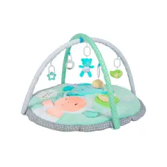 CARESTINO - Gimnasio Didáctico Amigos