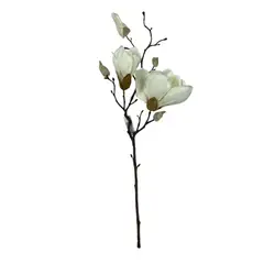 COREL - Magnolia Blanca 50 cm