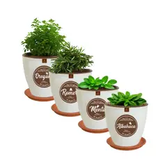 MESTIZA - Set 4 Macetas Zafiro 14 Huerto con Platos Terracota