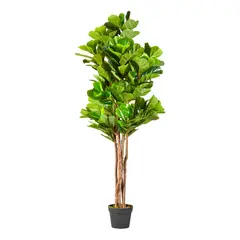 ARBUSTO REAL - Planta Artificial Ficus Lyrata 180 Cm. Premium 232 Hojas