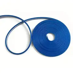 WANT - Cinta led neón flexible 12v azul 5M