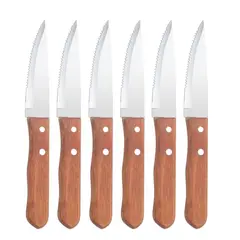 OEM - SET 6 CUCHILLOS PARRILLEROS CARNE