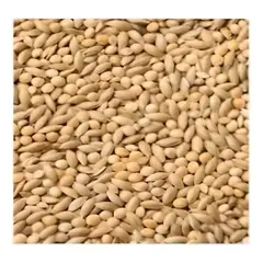 GENERICO - Alimento Para Aves Fortificado Mp003 500gr
