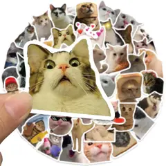 GENERICO - Pack 50 Sticker Gatitos Memes gatos Nekos.