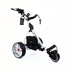 CITYSHOP - Carro Eléctrico BOSTON 12V 36A