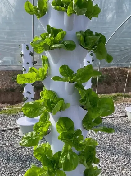 Sistema Hidroponico Vertical De 36 Posiciones