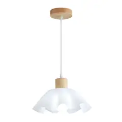 HOME NEAT - Lámparas de Techo Acrílica Moderno E27 ø28cm