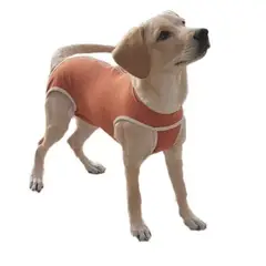 KIMBAVET - Body Tradicional De Cobre Post Quirúrgico Operatorio Talla 5