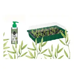 GENERICO - SET de 4 bandejas para almácigos y abono líquido