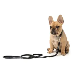 GENERICO - Correa Para Mascota Perro Diseños Fuzzyard Talla M L 140cm