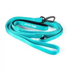 STREET DOGS - Correa de paseo para perros Light 5m Turquesa